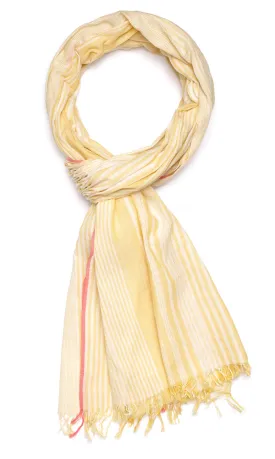 Popsicle Stripes - Yellow